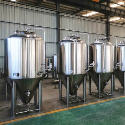 10HL stainless conical fermenter/fermentor 10hl pressure unitank for beer 1000l BFVS for microbrewery