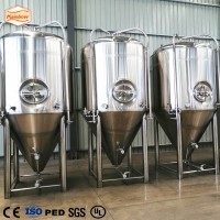 brewery vessel 30bbl brew kettle 30 bbl  jacketed conical fermenter 30bbl beer fermenter fermentor 30 bbl